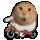 Bottom-right GIF (replace src)