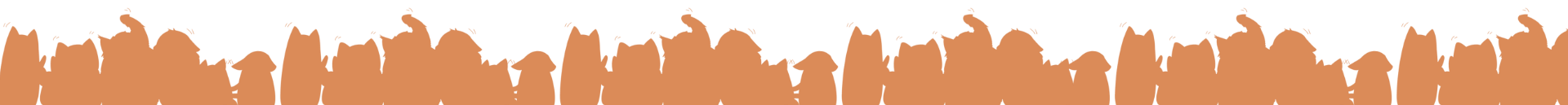 bottom decoration