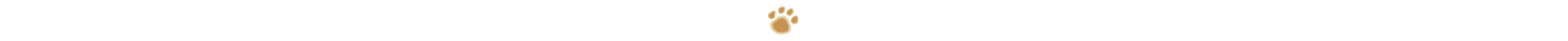 line decoration